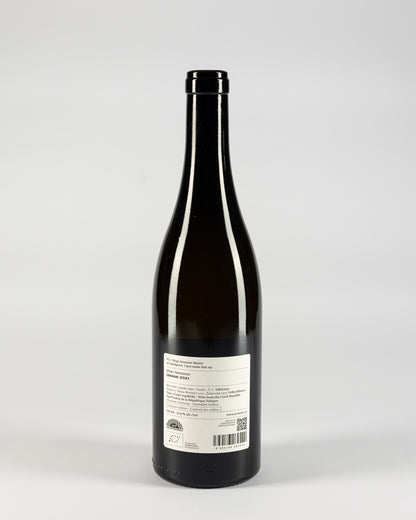 Milan Nestarec - UMAMI