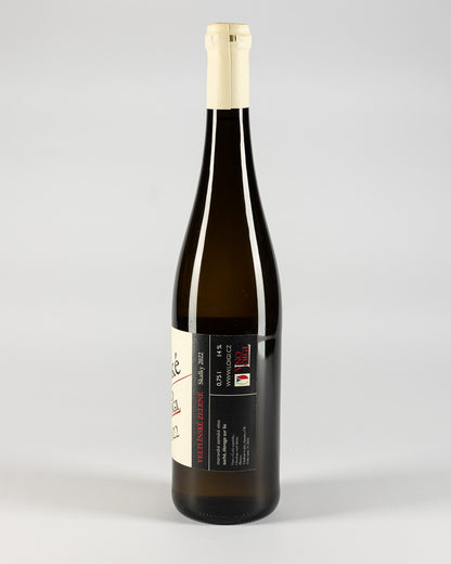 Vino Loigi - Veltlinské zelené 